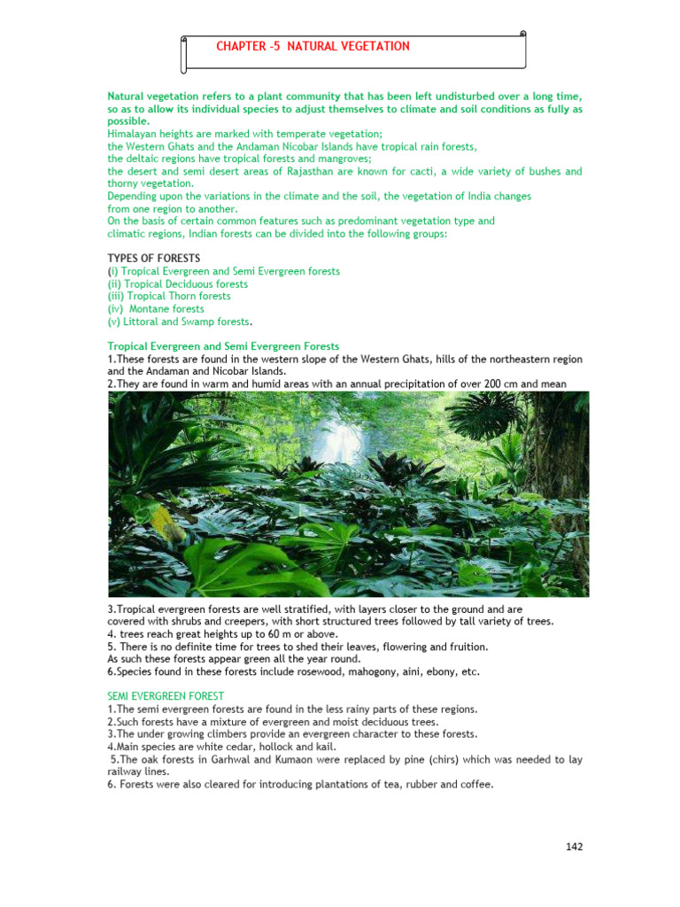 Types of Natural Vegetation in India | PDF | Forests | Tropics