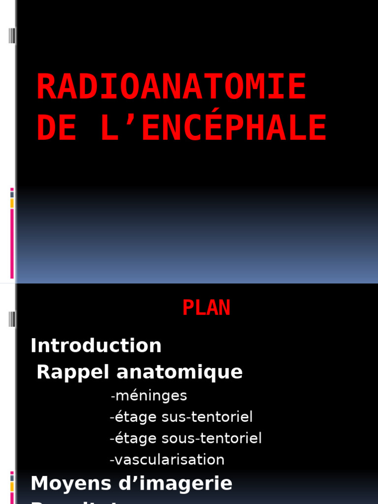 Radioanatomie de l'encéphale : Guide complet | PDF | Circonvolution ...