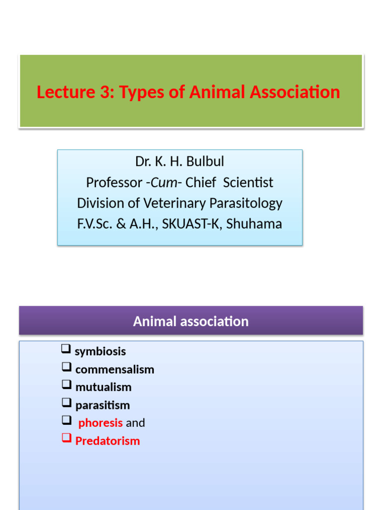 Types of Animal Associations Explained | PDF | Parasitism | Symbiosis