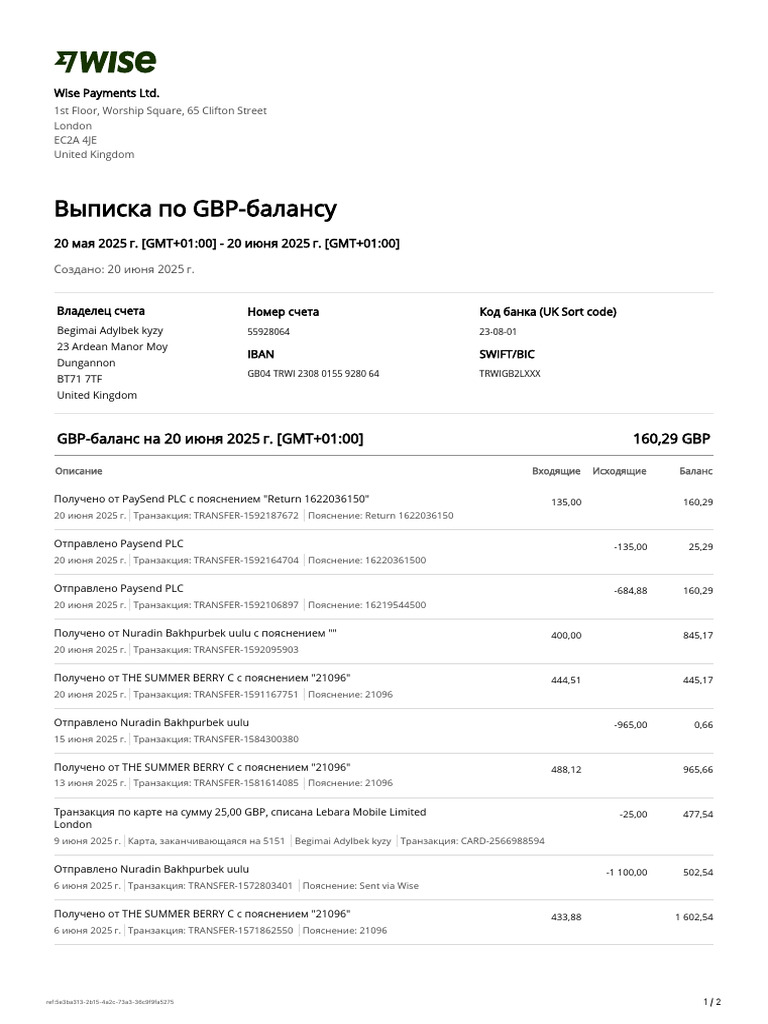 Balance Statement | PDF