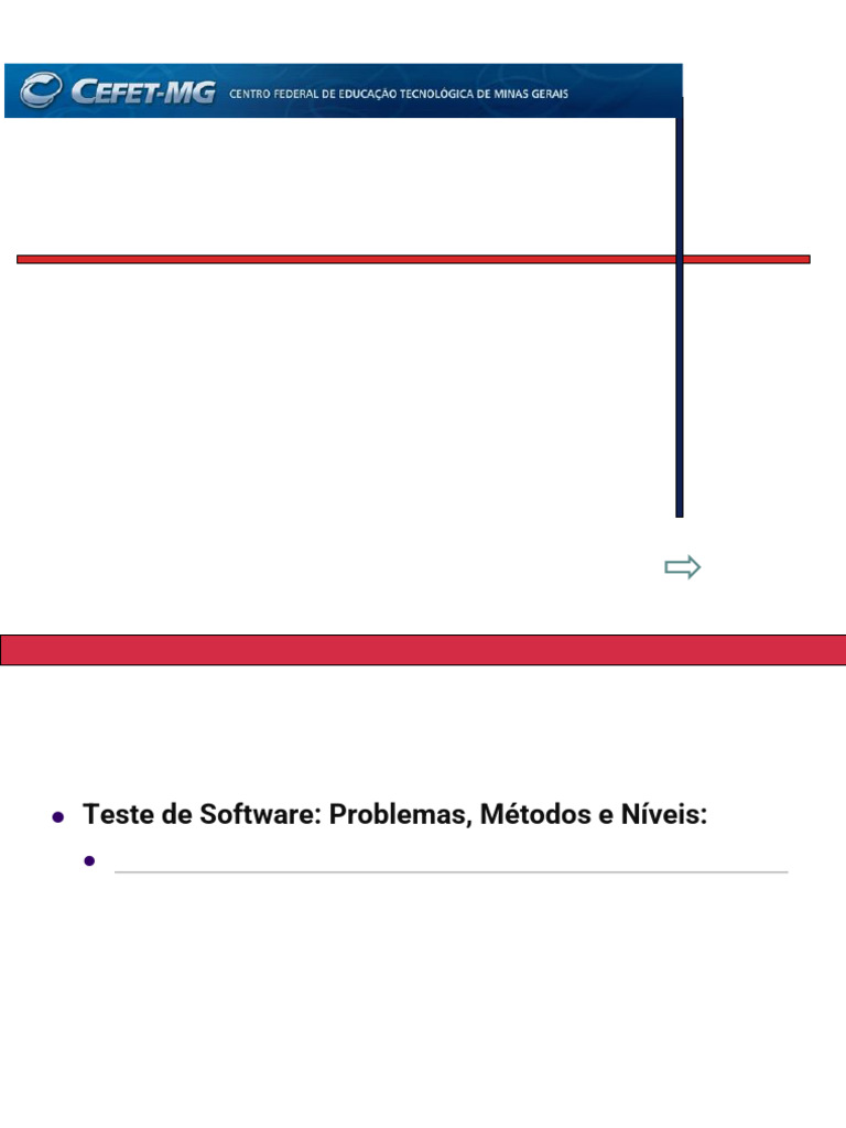 Guia Completo de Testes de Software | PDF | Testes de software | Programas