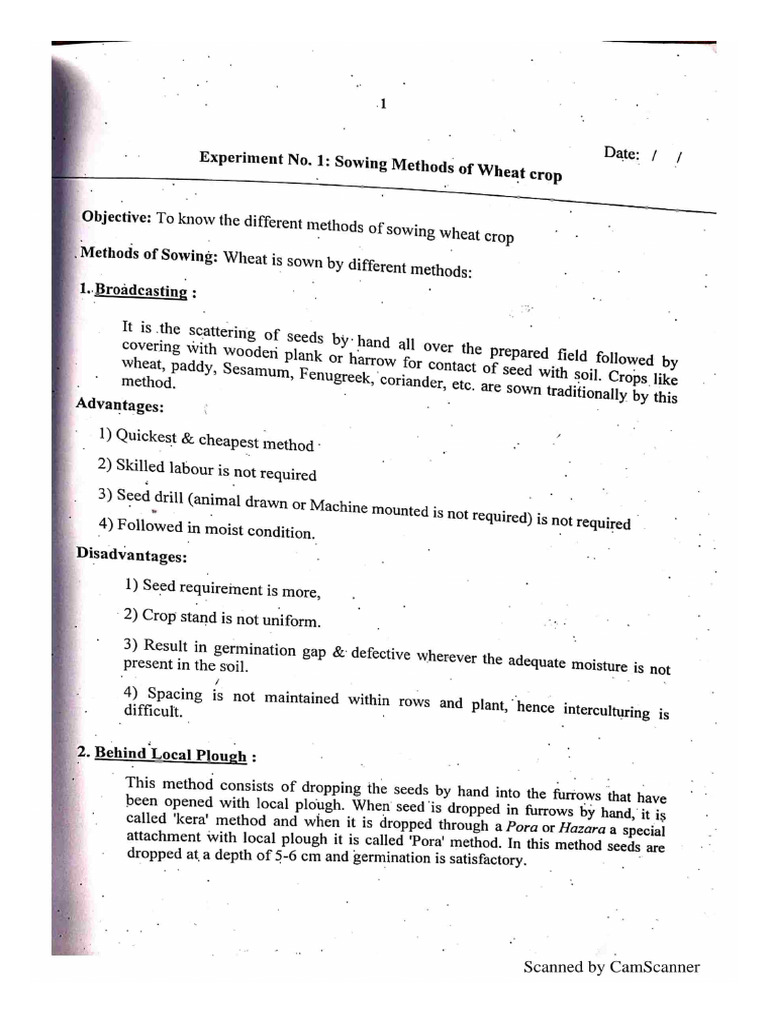 Practical 3 - Wheat Sowing Methods | PDF