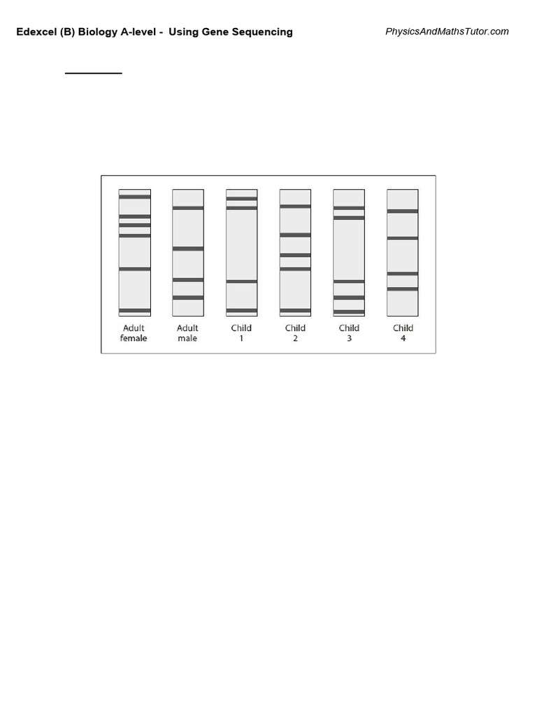 PCR and Gel Electrophoresis in DNA Profiling | PDF | Polymerase Chain ...