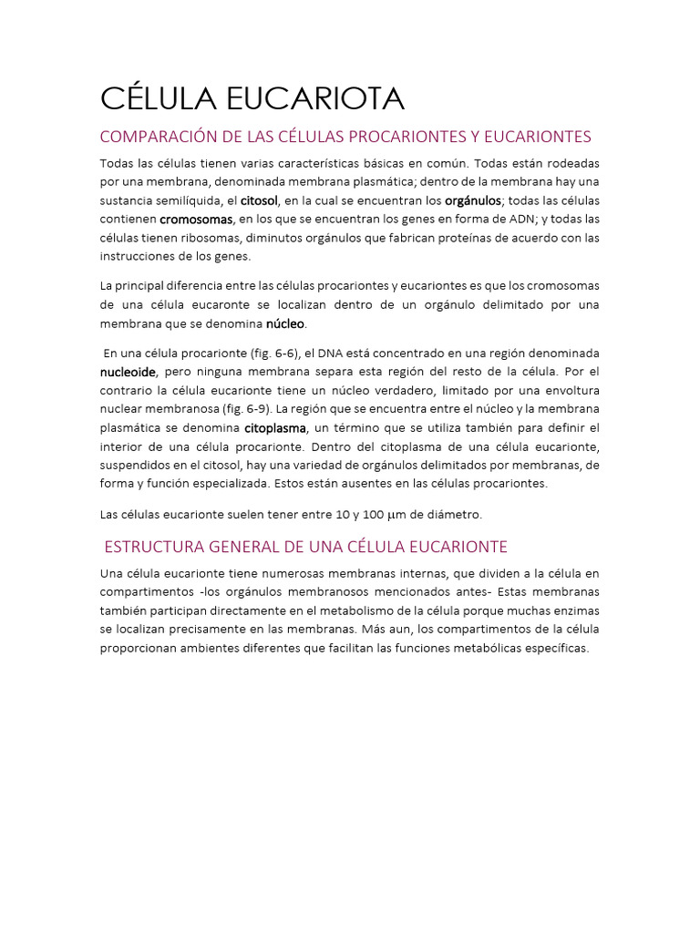 Estructura y Función de Células Eucariontes | PDF | Lisosoma | Nucleo ...