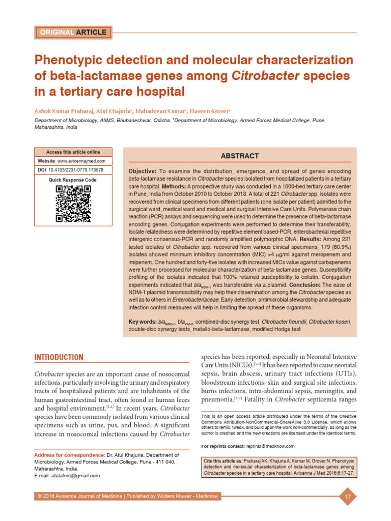 Beta-Lactamase Genes in Citrobacter spp. | PDF | Molecular Cloning ...