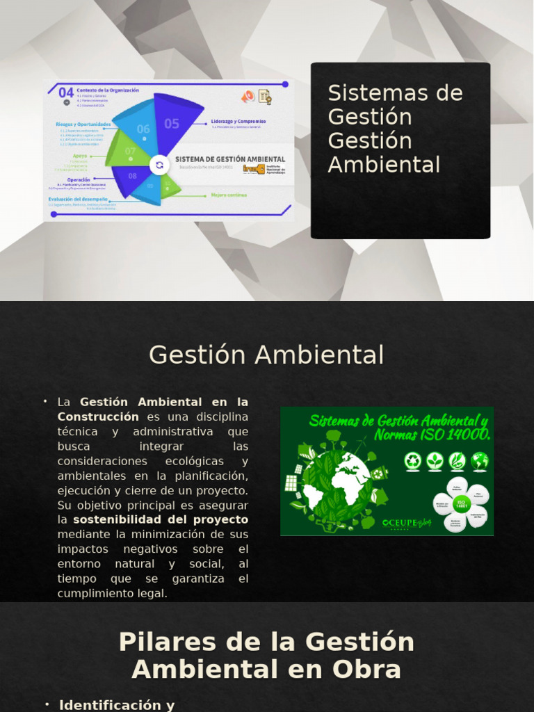 Sistemas de Gestión Gestión Ambiental | PDF | Entorno natural | Auditoría