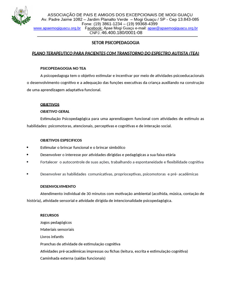 Plano Terapêutico para TEA em Mogi Guaçu | PDF | Aprendizado | Pedagogia