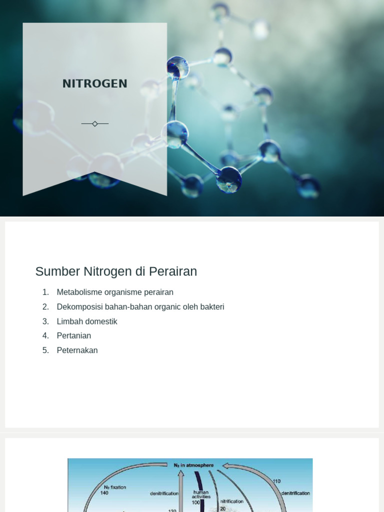 Nitrogen 2025 | PDF