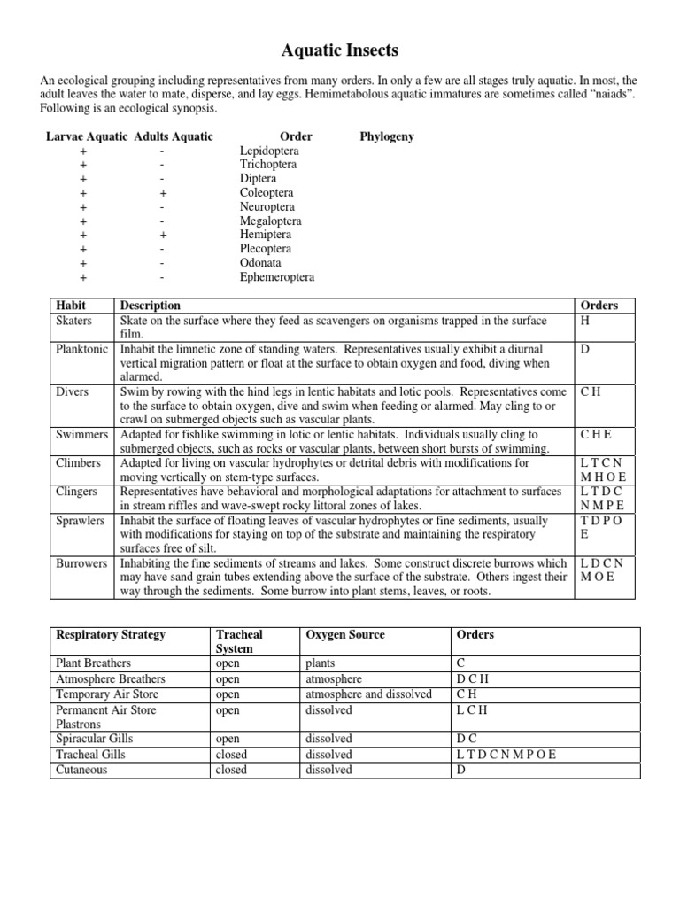 4 Aquatic Insects | PDF | Insects | Hexapoda