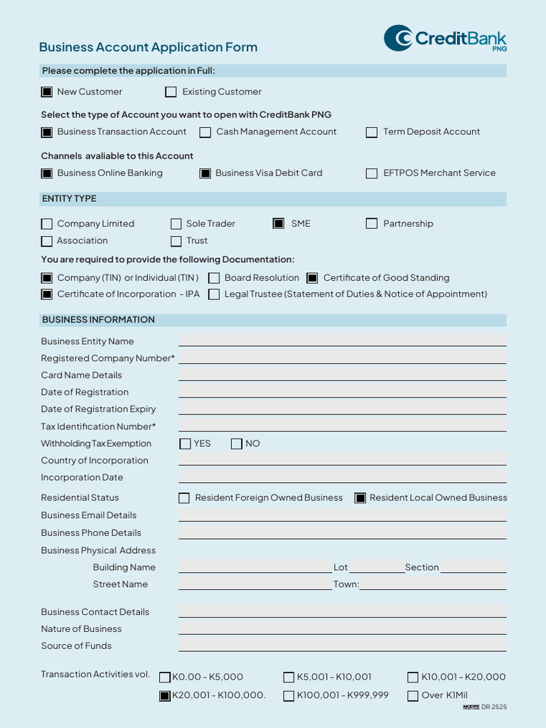 Business Acc Application Rev 05 | PDF | Banks | Business