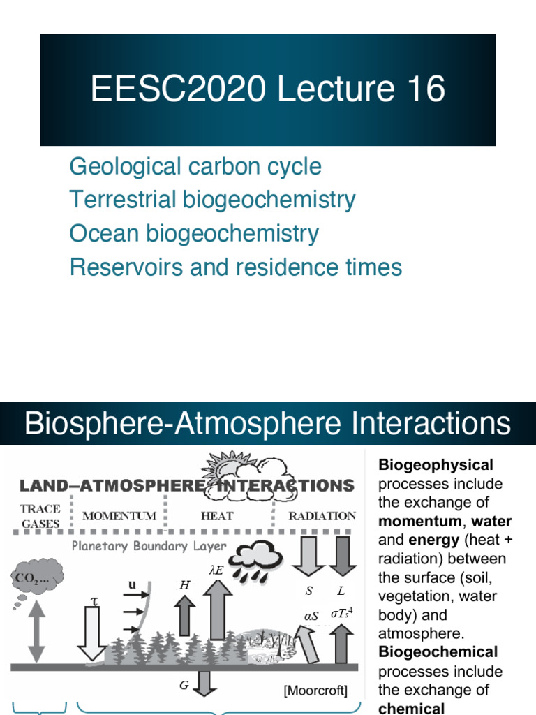 Lec16 Biogeochemical Fluxes | PDF | Carbon Cycle | Decomposition