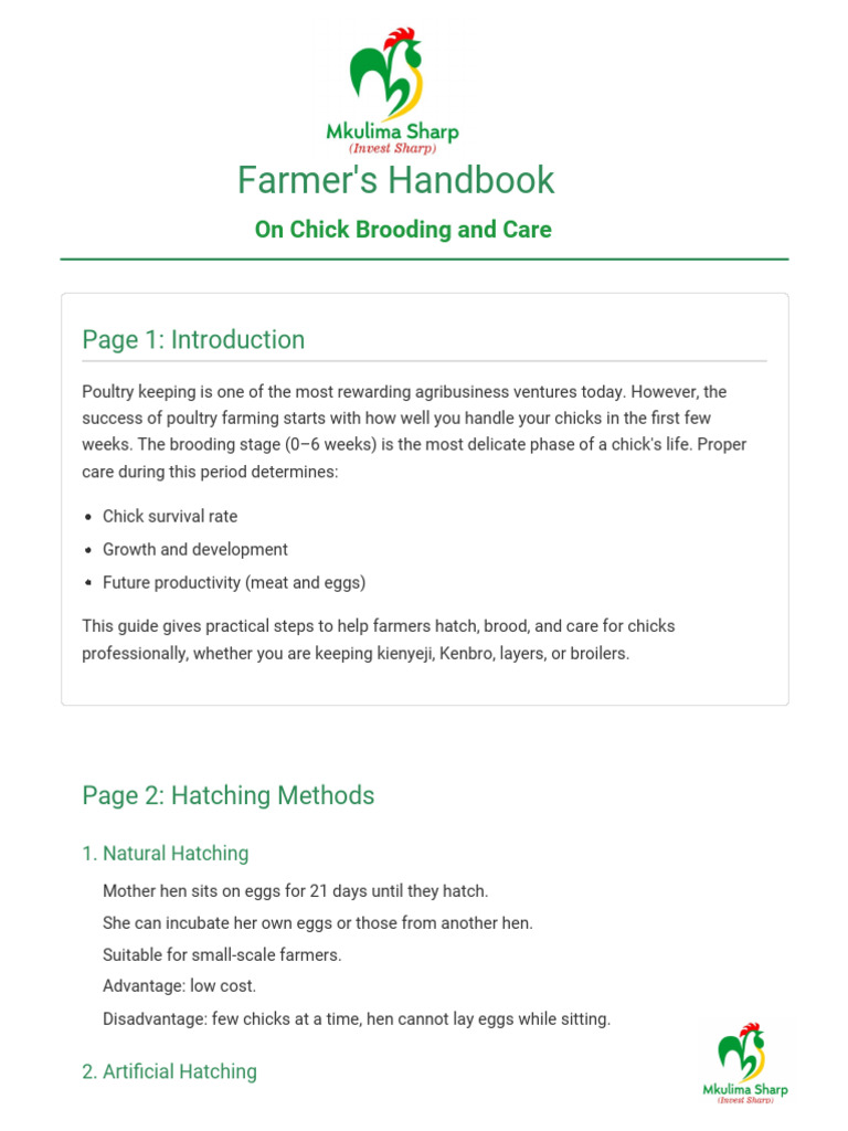 Chick Brooding and Care Guide | PDF | Chicken | Birds
