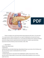 Anatomi Pankreas