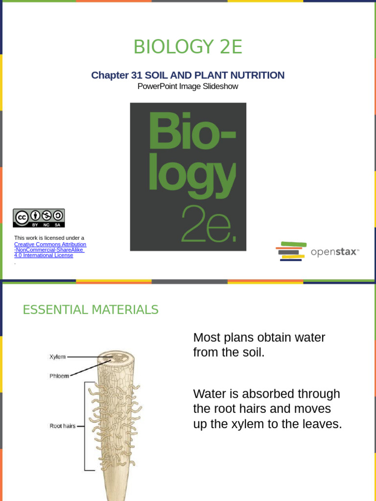 Soil and Plant Nutrition Overview | PDF | Soil | Plant Nutrition