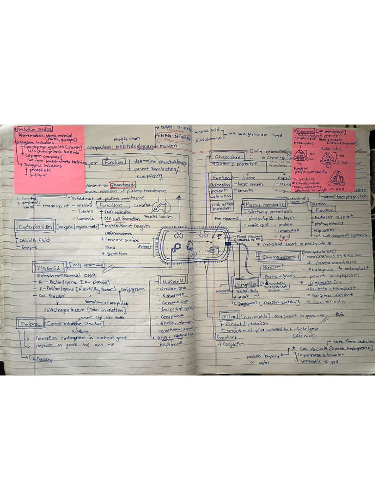 Biology Short Notes | PDF
