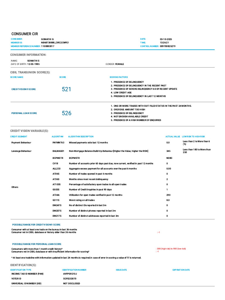 Consumer Credit Report Summary | PDF | Credit | Finance & Money Management
