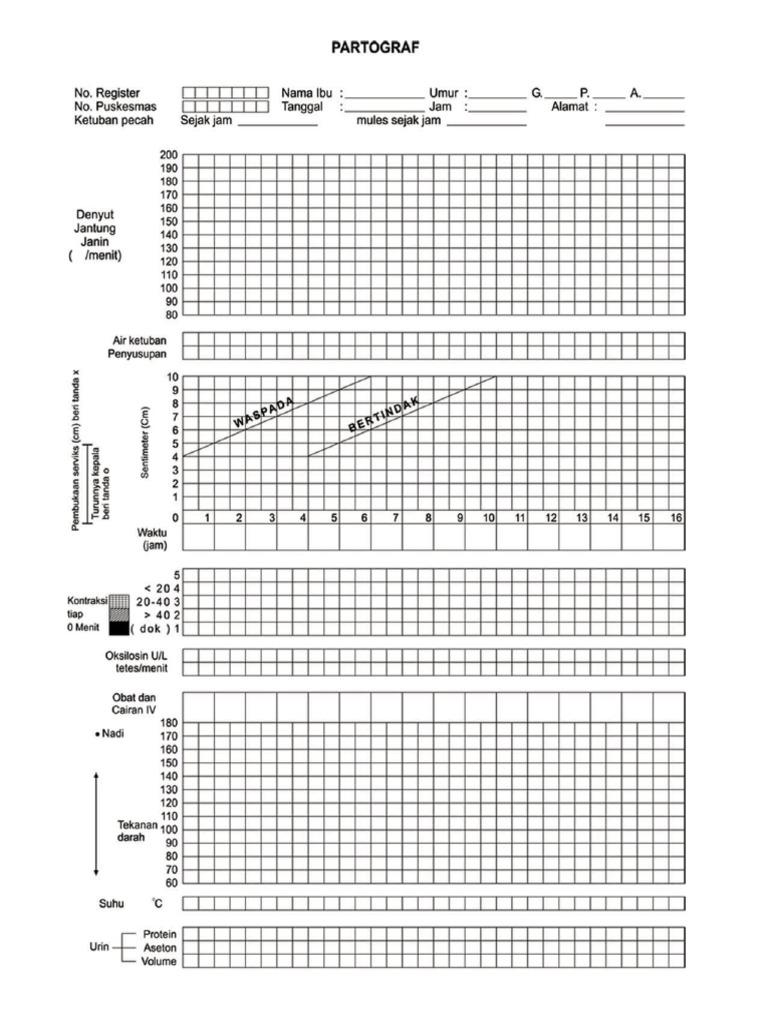 Partograf PDF | PDF