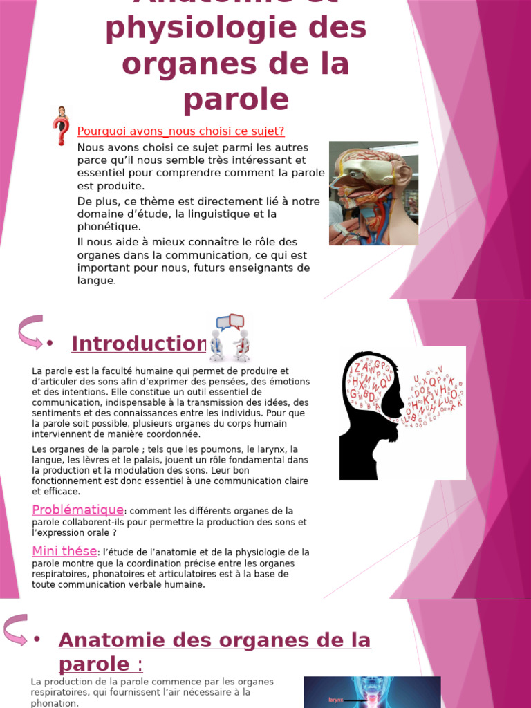 Anatomie et physiologie des organes de la parole | PDF | Voix humaine