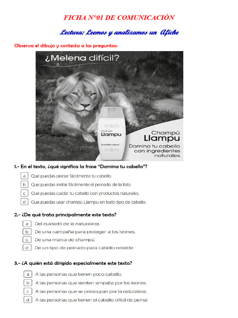 Ficha de Comunicación. Leemos y Analizamos Afiches. Segundo A | PDF