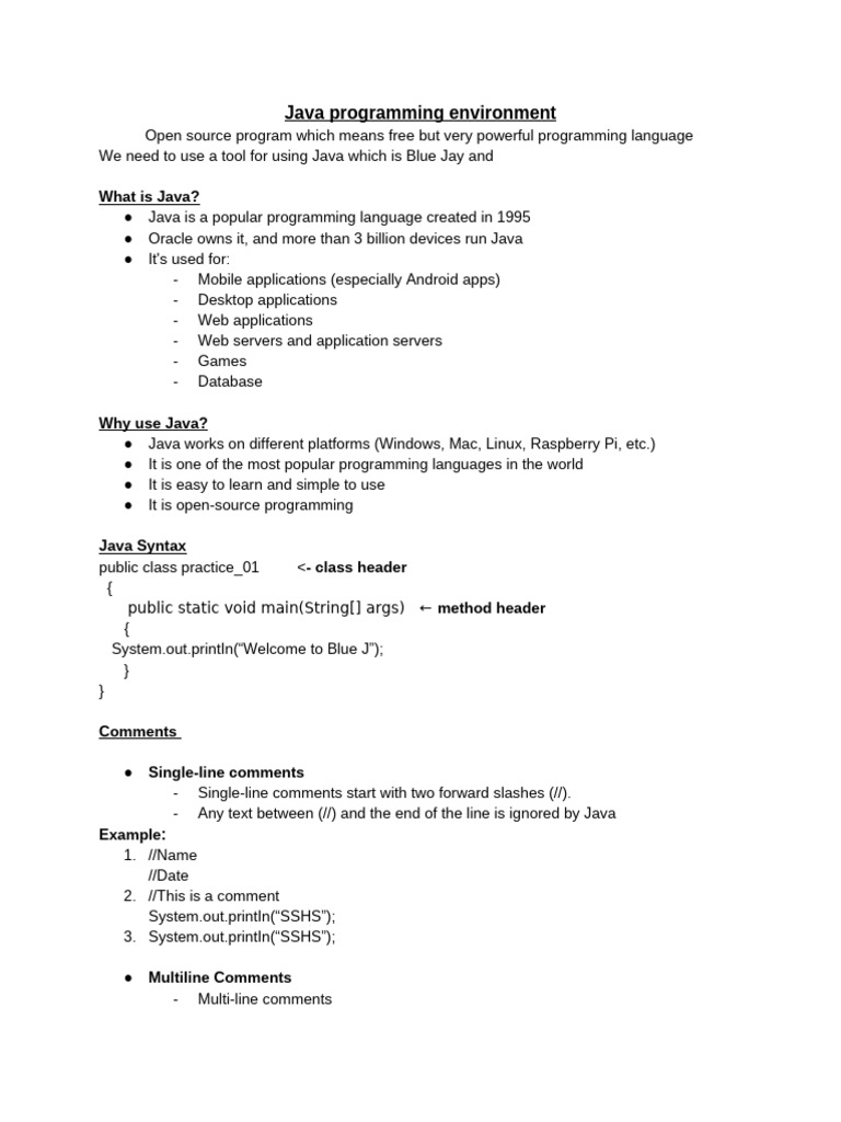 Java Programming Basics with BlueJ | PDF | Java (Programming Language ...