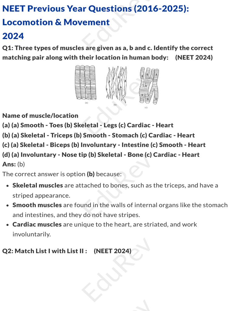 NEET 2024 Locomotion & Movement Questions | PDF | Muscle Contraction ...