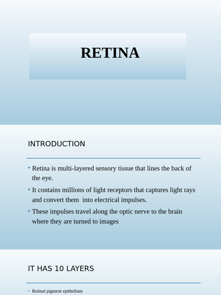 Understanding Retina Structure and Function | PDF