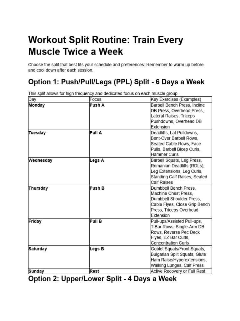 Effective Workout Split Routines | PDF | Management Of Obesity ...