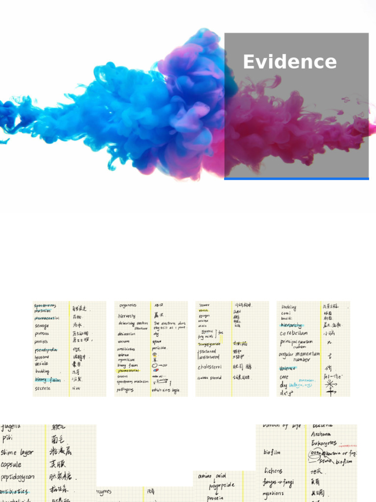 LC Evidence | PDF