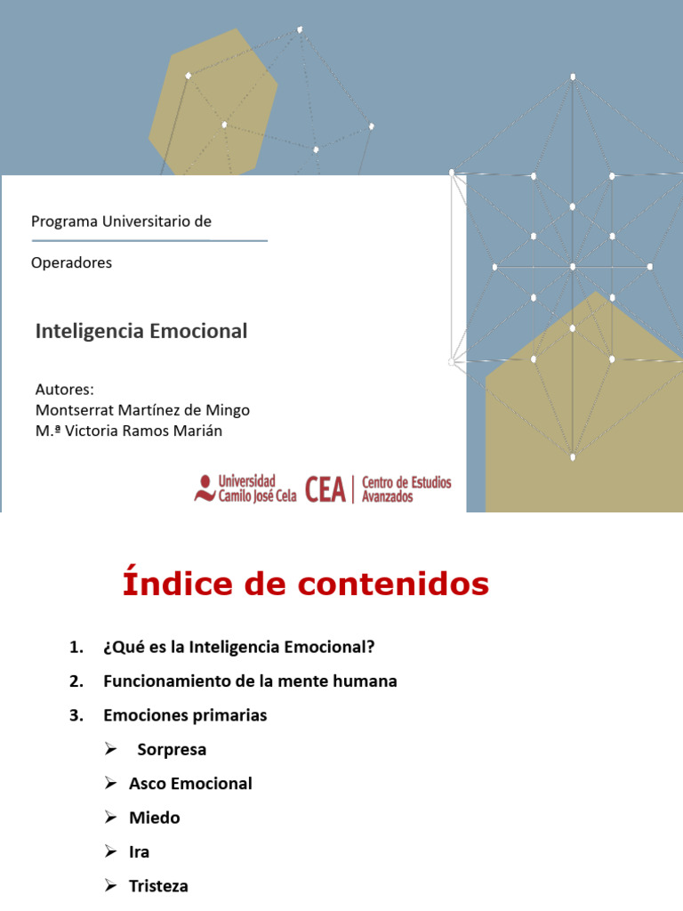 Inteligencia Emocional: Claves y Niveles | PDF | Las emociones | Ira