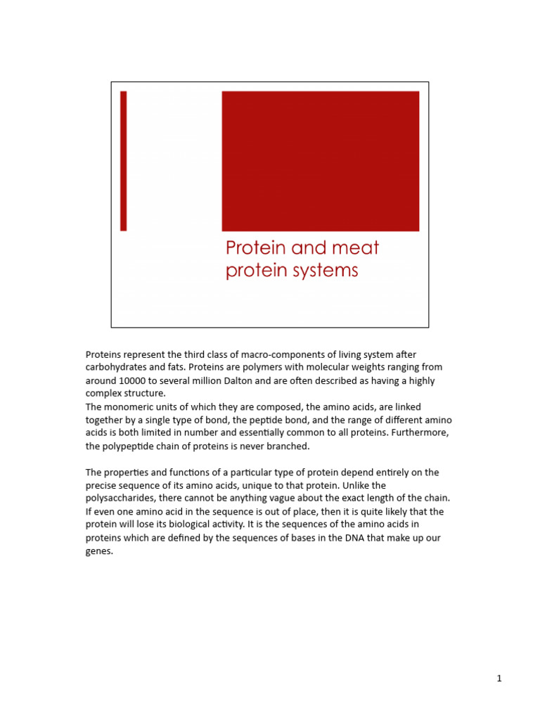 Lecture 2 - Protein and Meat Biochemistry | PDF | Amino Acid | Protein ...