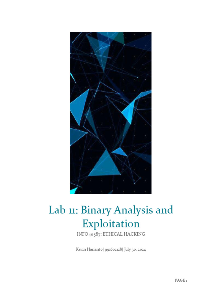 Binary Analysis and Exploitation Lab | PDF