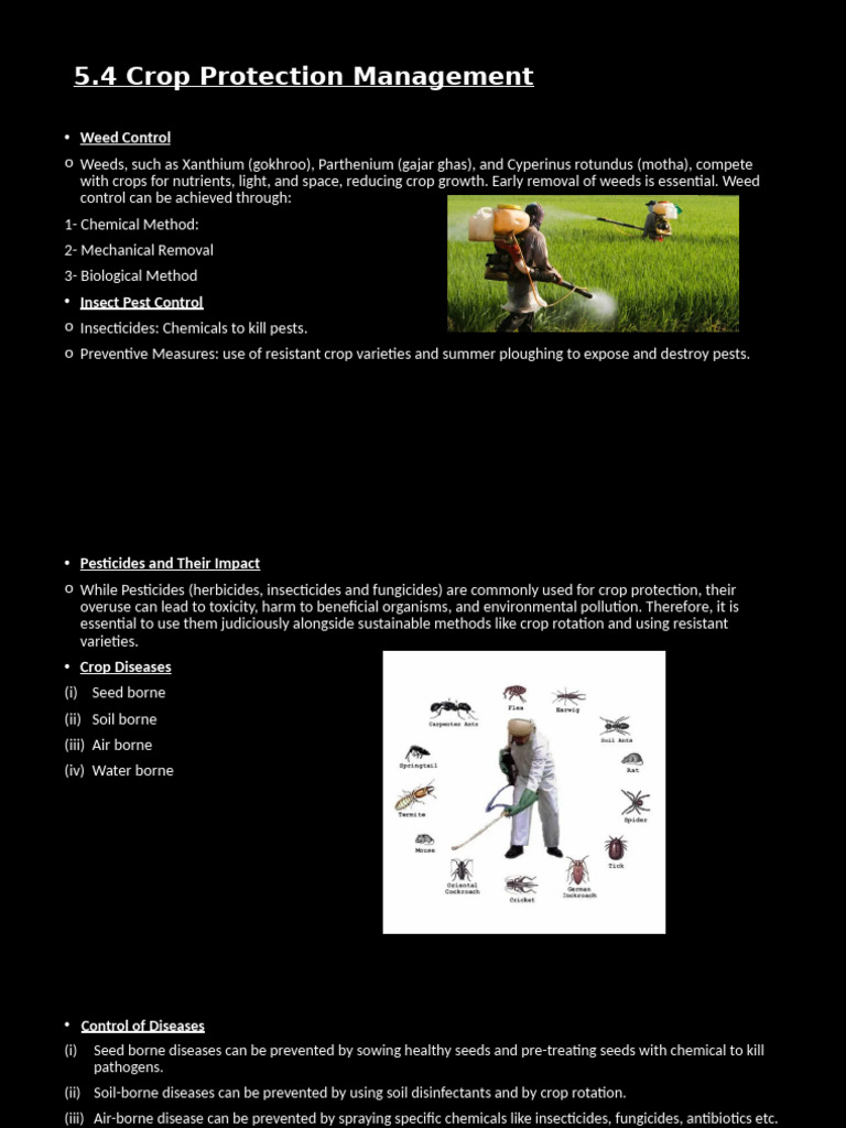 Crop Protection and Storage Strategies | PDF