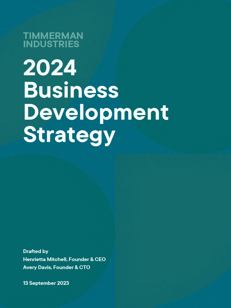 2024 Business Development Strategy | PDF