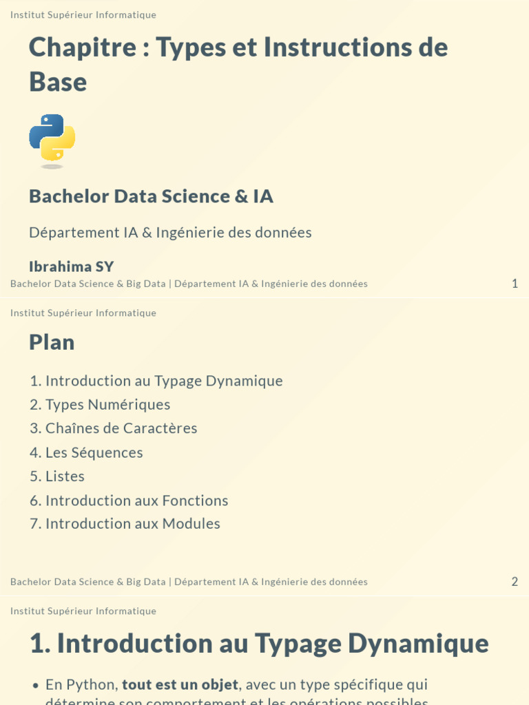 Types et Instructions de Base en Python | PDF | Variable (informatique ...