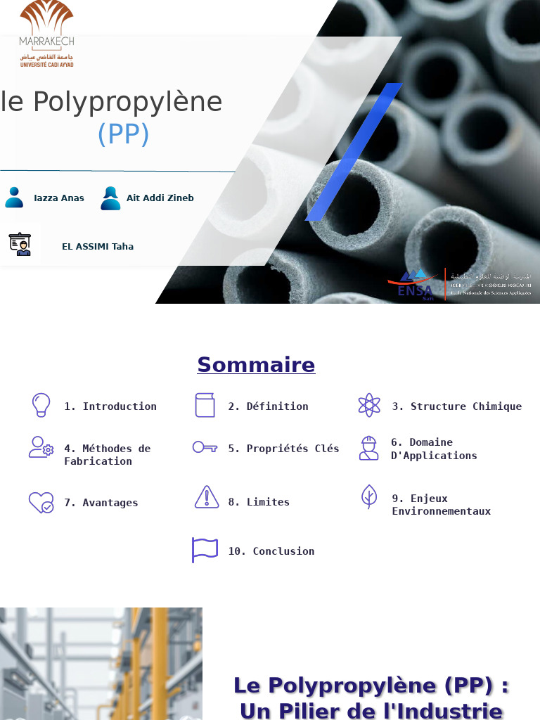 Polypropylène : Propriétés et Enjeux | PDF | Plastique | Recyclage