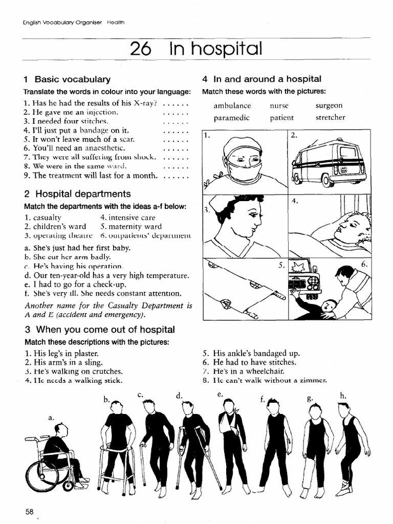 In Hospital | PDF
