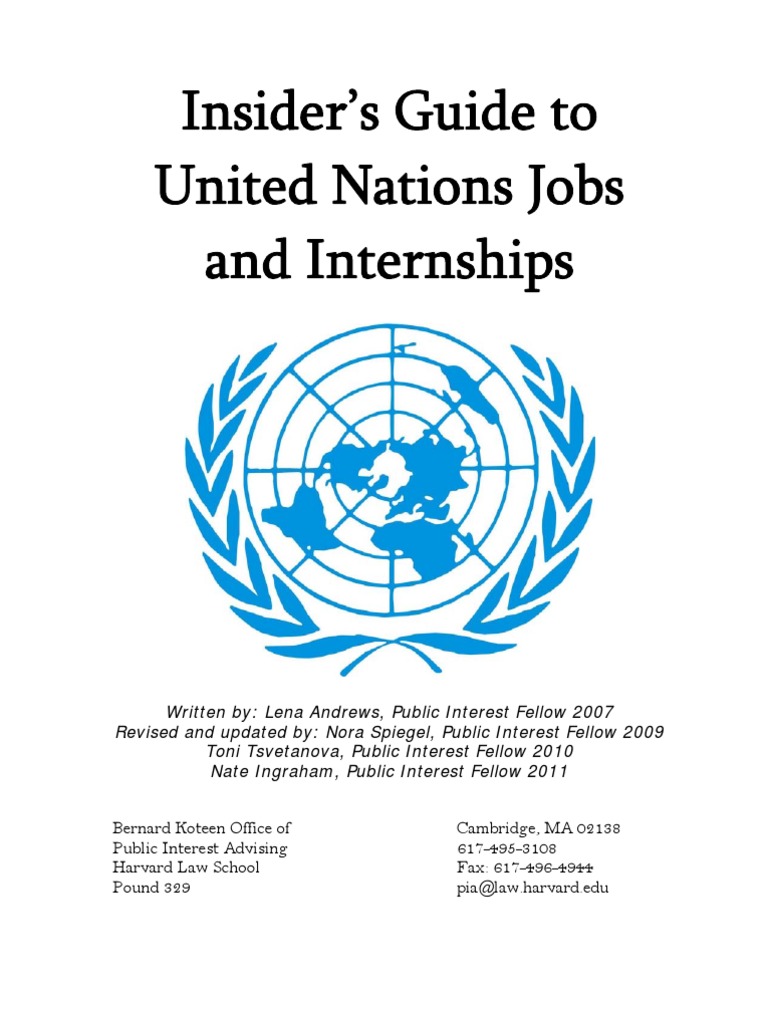 UN Careers: Jobs & Internships Guide | PDF