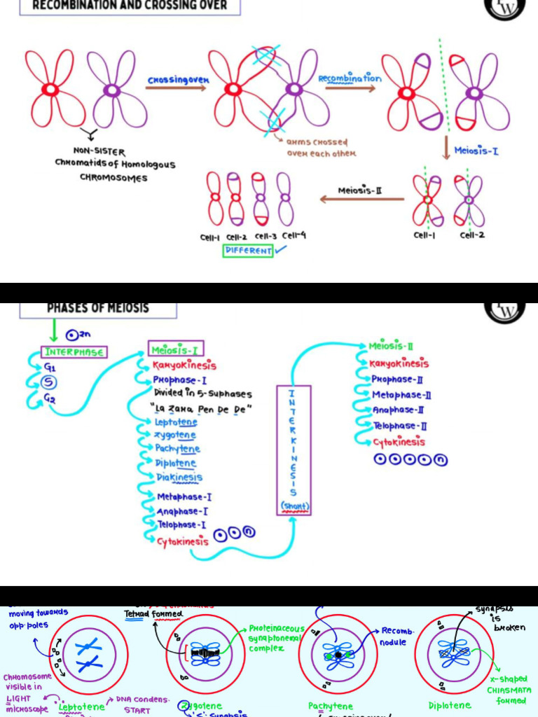 n4 Invert | PDF