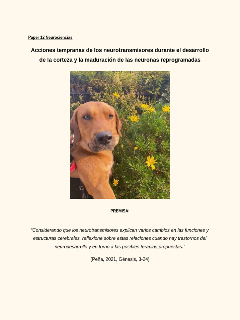 Resumen Artículo 12 Neuro | PDF | Sinapsis | Neurona
