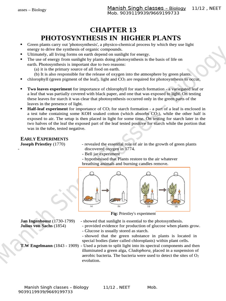 Photosynthesis in Higher Plants Explained | PDF | Photosynthesis ...