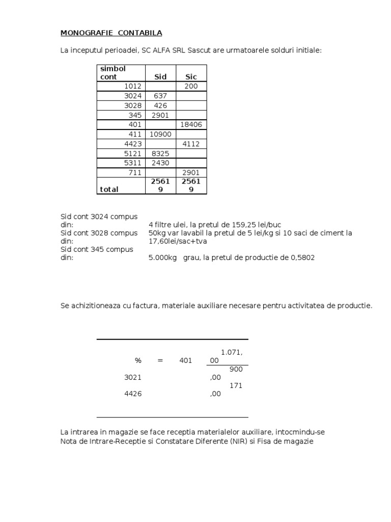 Monografie Contabila | PDF