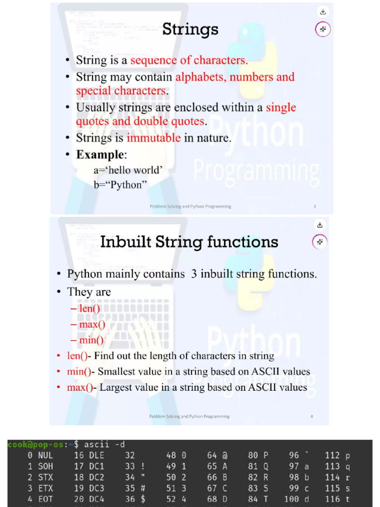 Understanding Immutable Strings in Programming | PDF