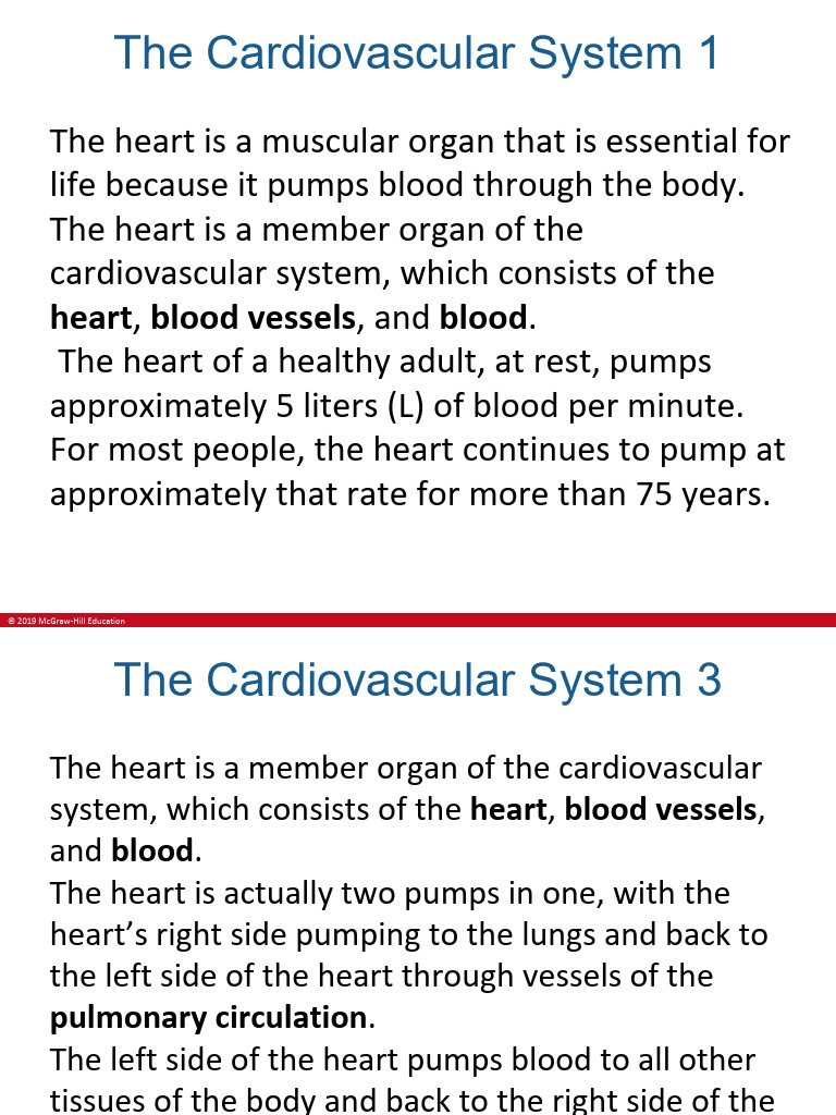 Overview of the Heart's Anatomy and Function | PDF | Heart Valve | Heart