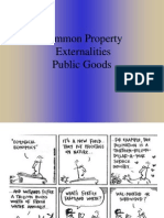 Common Property Externalities Public Goods