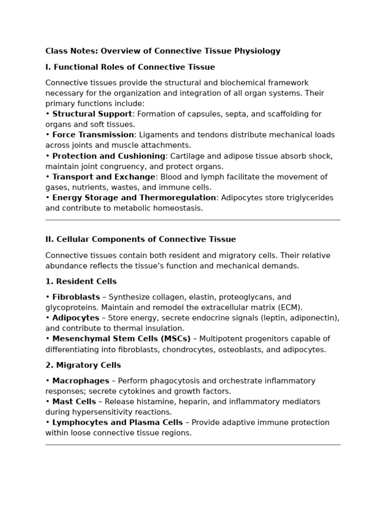 Connective Tissue Physiology Overview | PDF | Connective Tissue ...