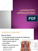 Laparoscopic Adrenalectomy 