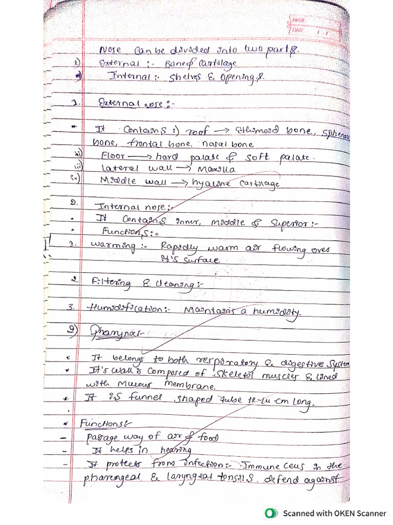 Notes 5 | PDF