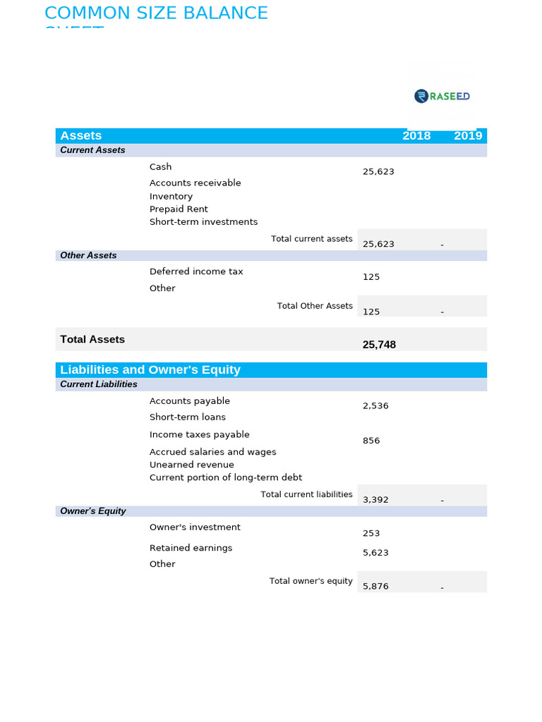 2019 Common Size Balance Sheet Analysis | PDF