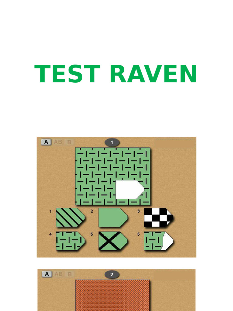 Test Raven | PDF