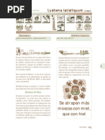 lysiloma_latisiliquum